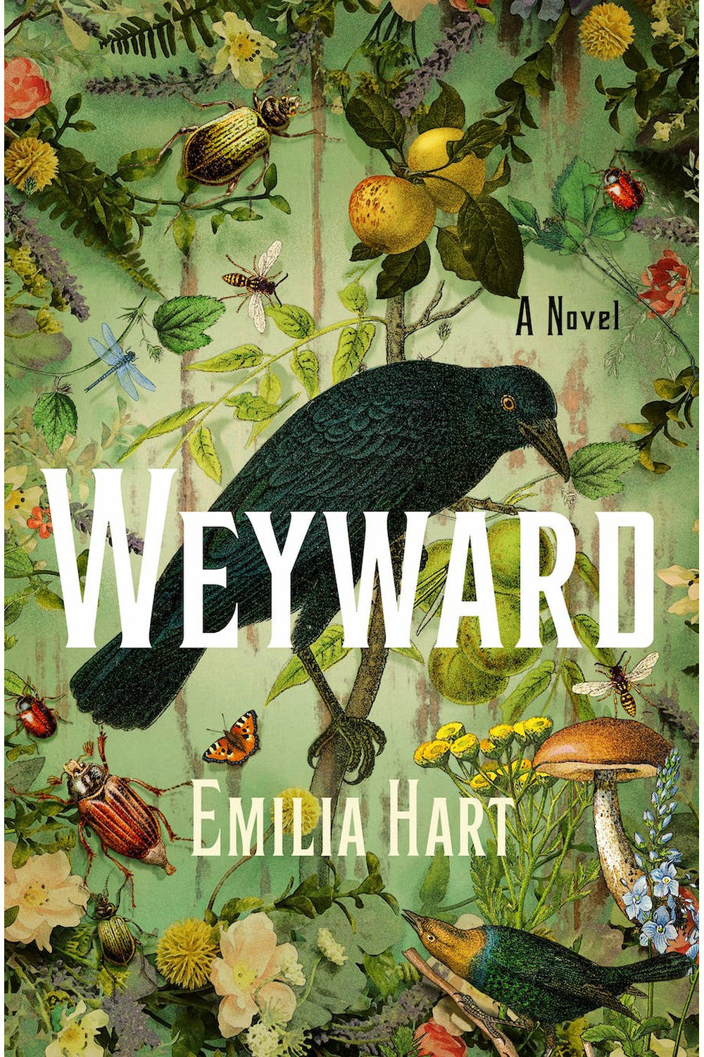 Weyward by Emilia Hart