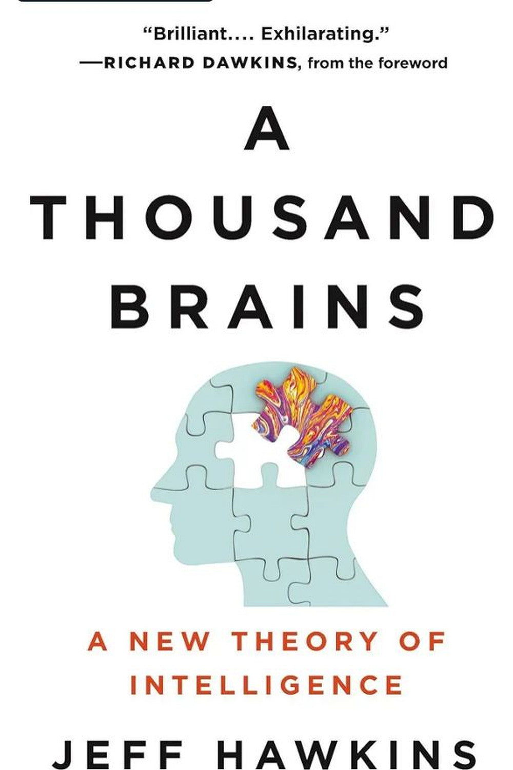 A Thousand Brains by Jeff Hawkins