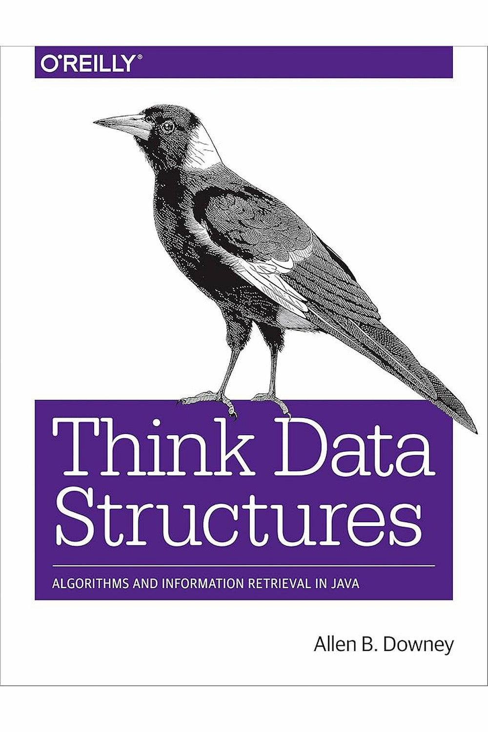 Think Data Structures by Allen Downey