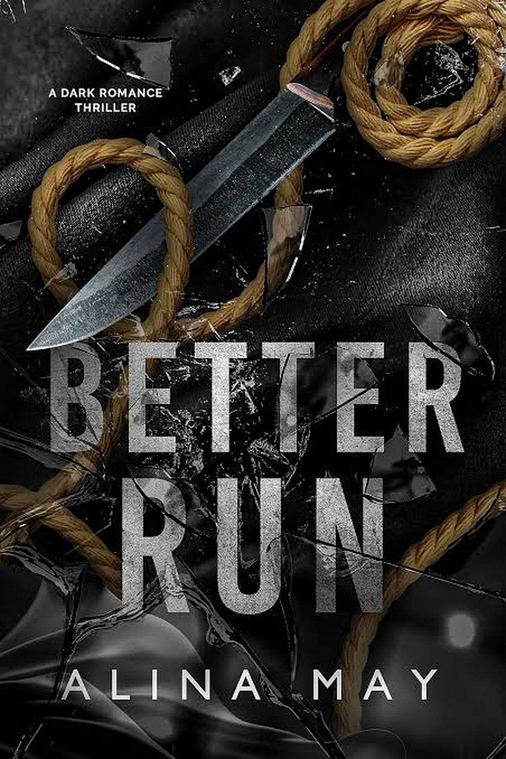 Better Run: A Dark Romance Thriller by Alina May