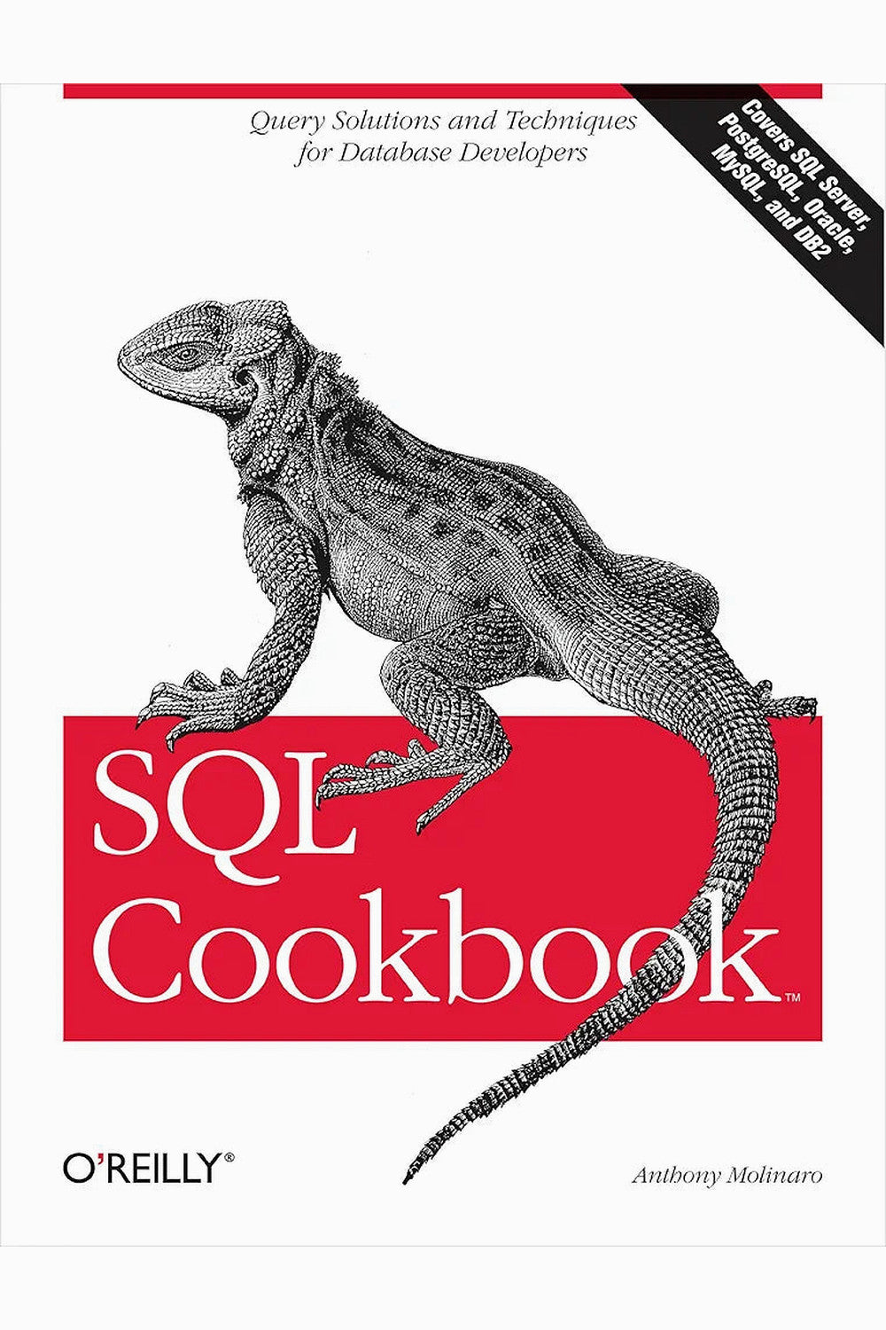 SQL Cookbook by Anthony Molinaro and Robert de Graaf
