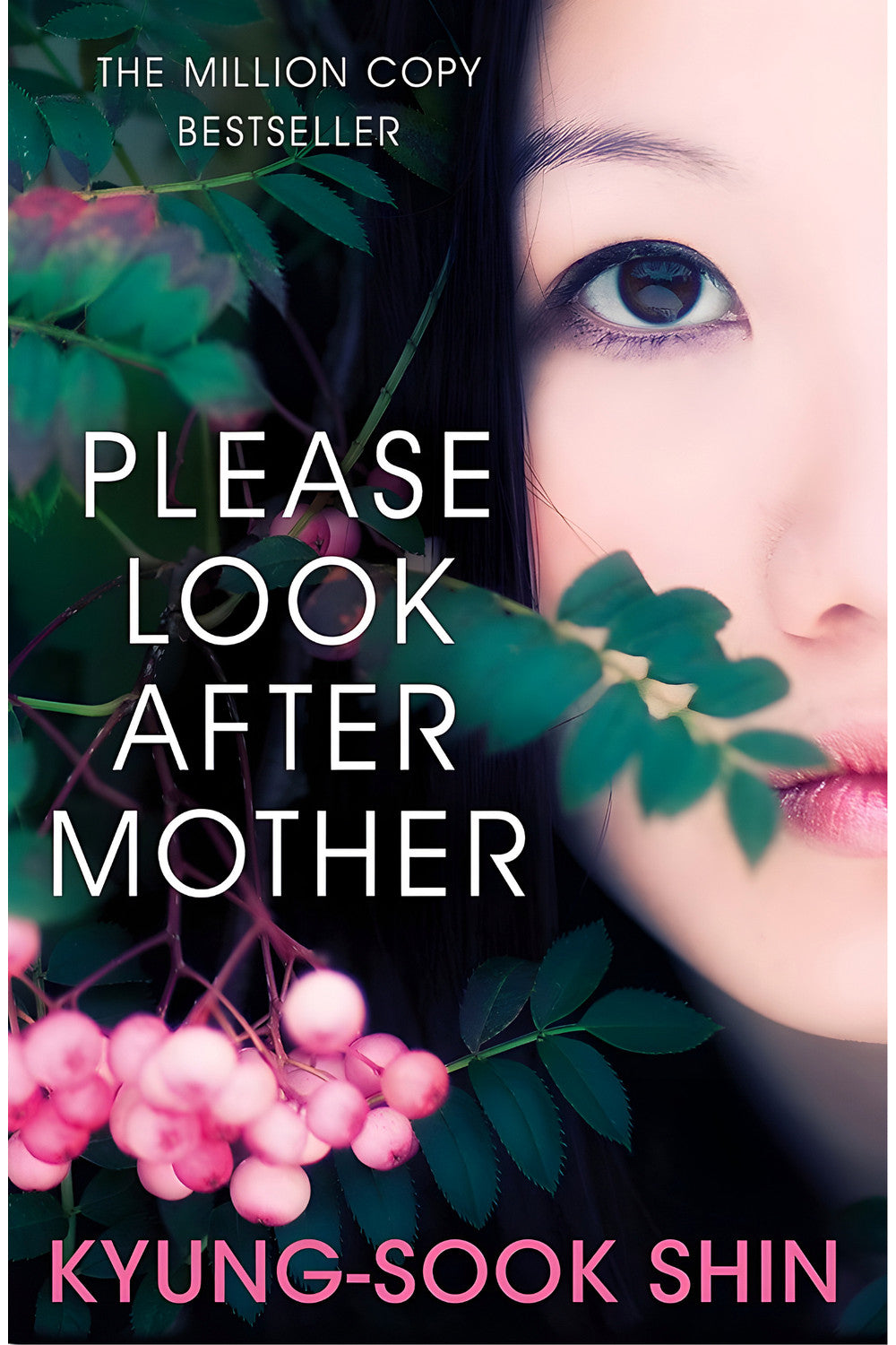 Please Look After Mother by Kyung-Sook Shin