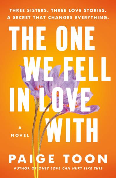 The One We Fell in Love With by Paige Toon