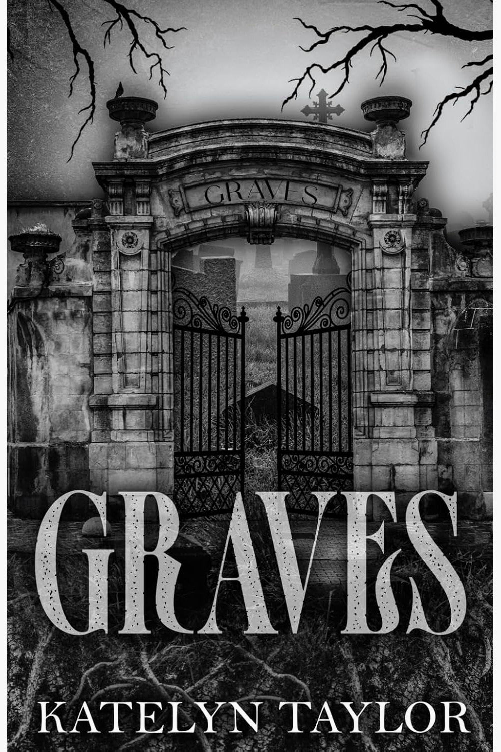 Graves by Katelyn Taylor