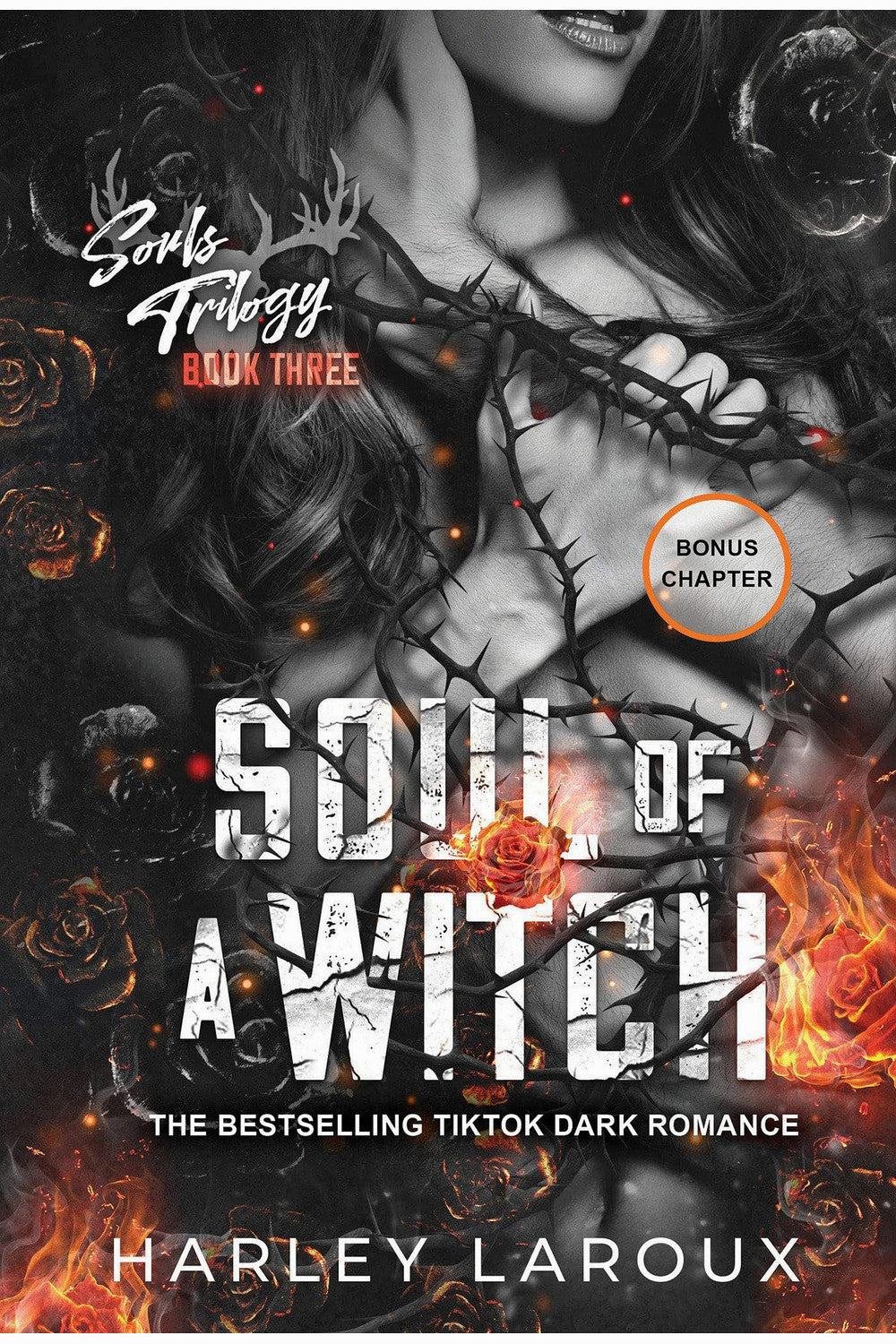Soul of a Witch: A Spicy Dark Demon Romance by Harley Laroux