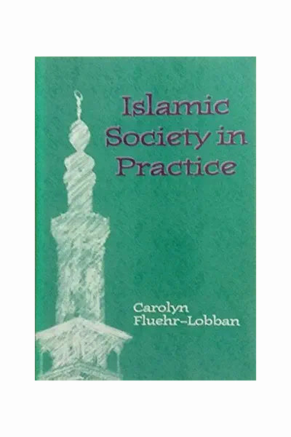 Islamic Society in Practice by Carolyn Fluehr-Lobban