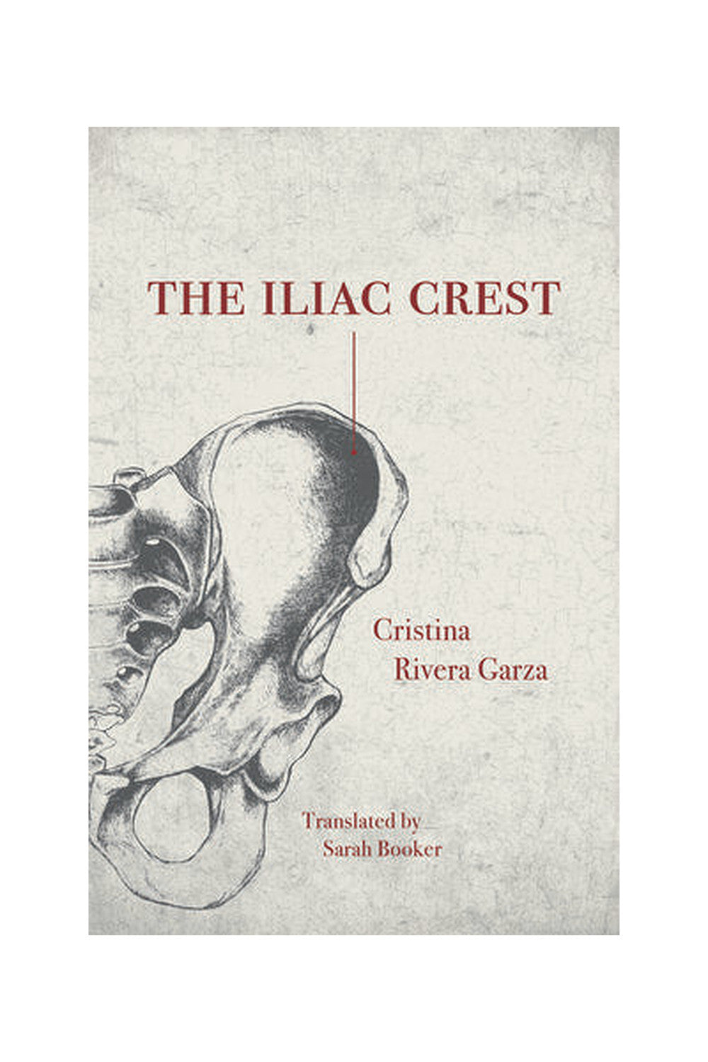 The Iliac Crest by Cristina Rivera Garza