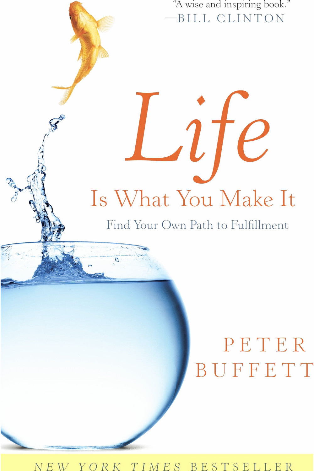 Life Is What You Make It by Peter Buffett