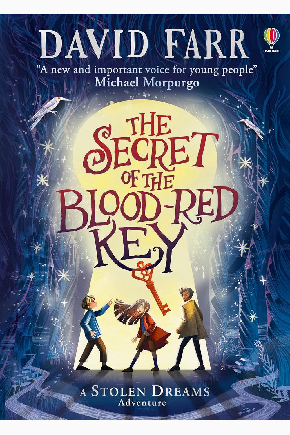 The Secret of the Blood-Red Key by David Farr