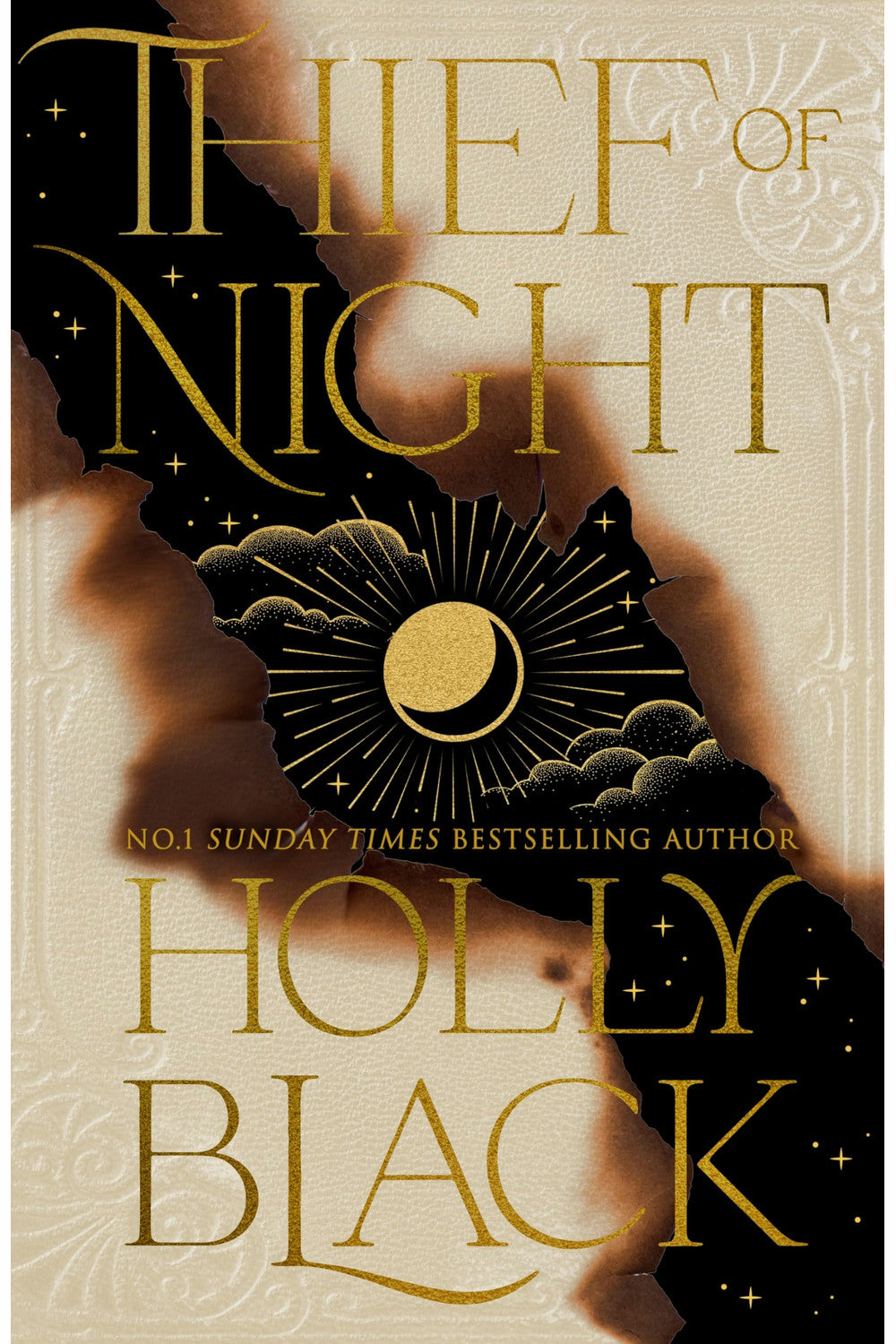 Thief of Night by Holly Black