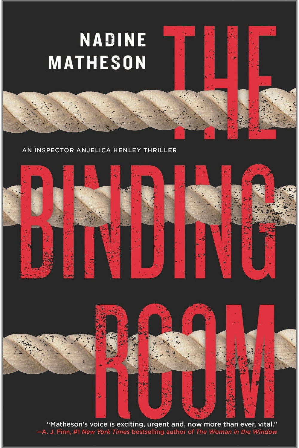 The Binding Room by Nadine Matheson