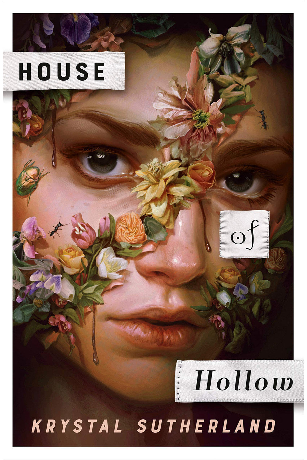 House of Hollow by Krystal Sutherland