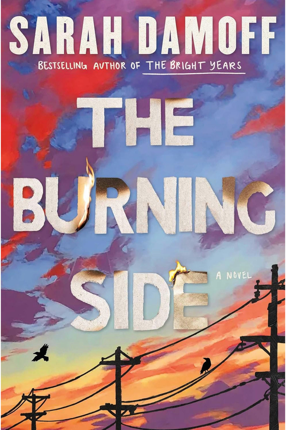 The Burning Side by Sarah Damoff