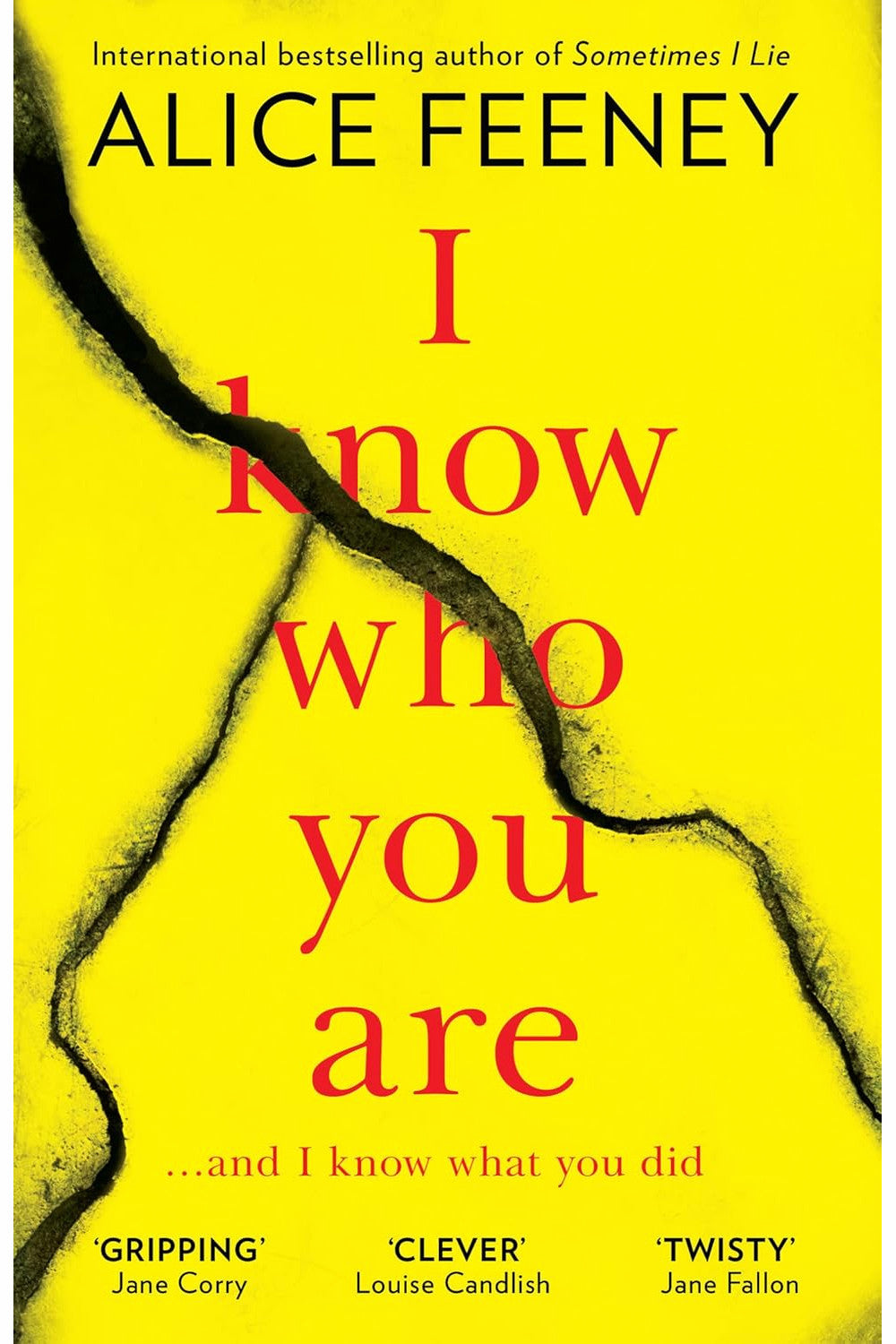 I Know Who You Are by Alice Feeney