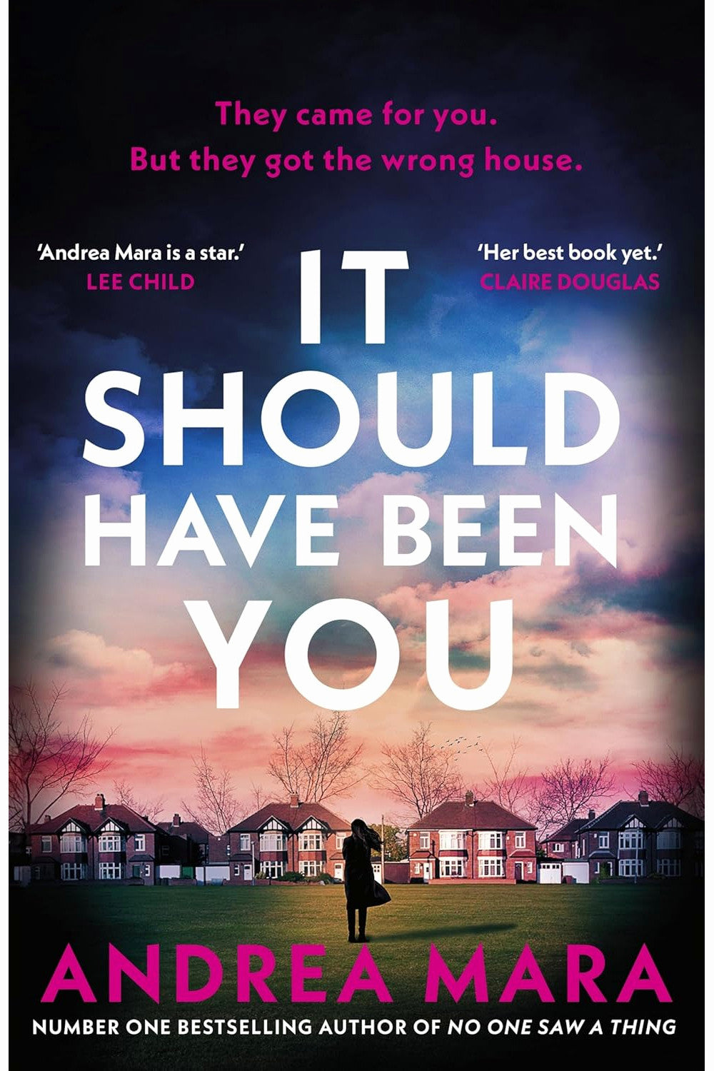 It Should Have Been You by Andrea Mara