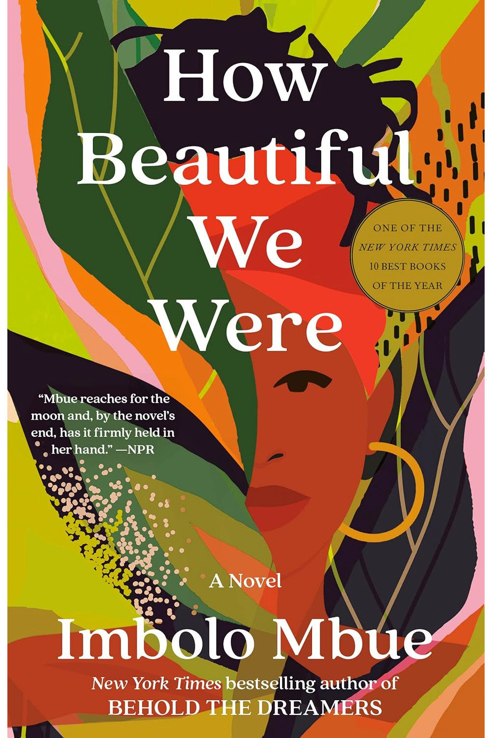 How Beautiful We Were by Imbolo Mbue