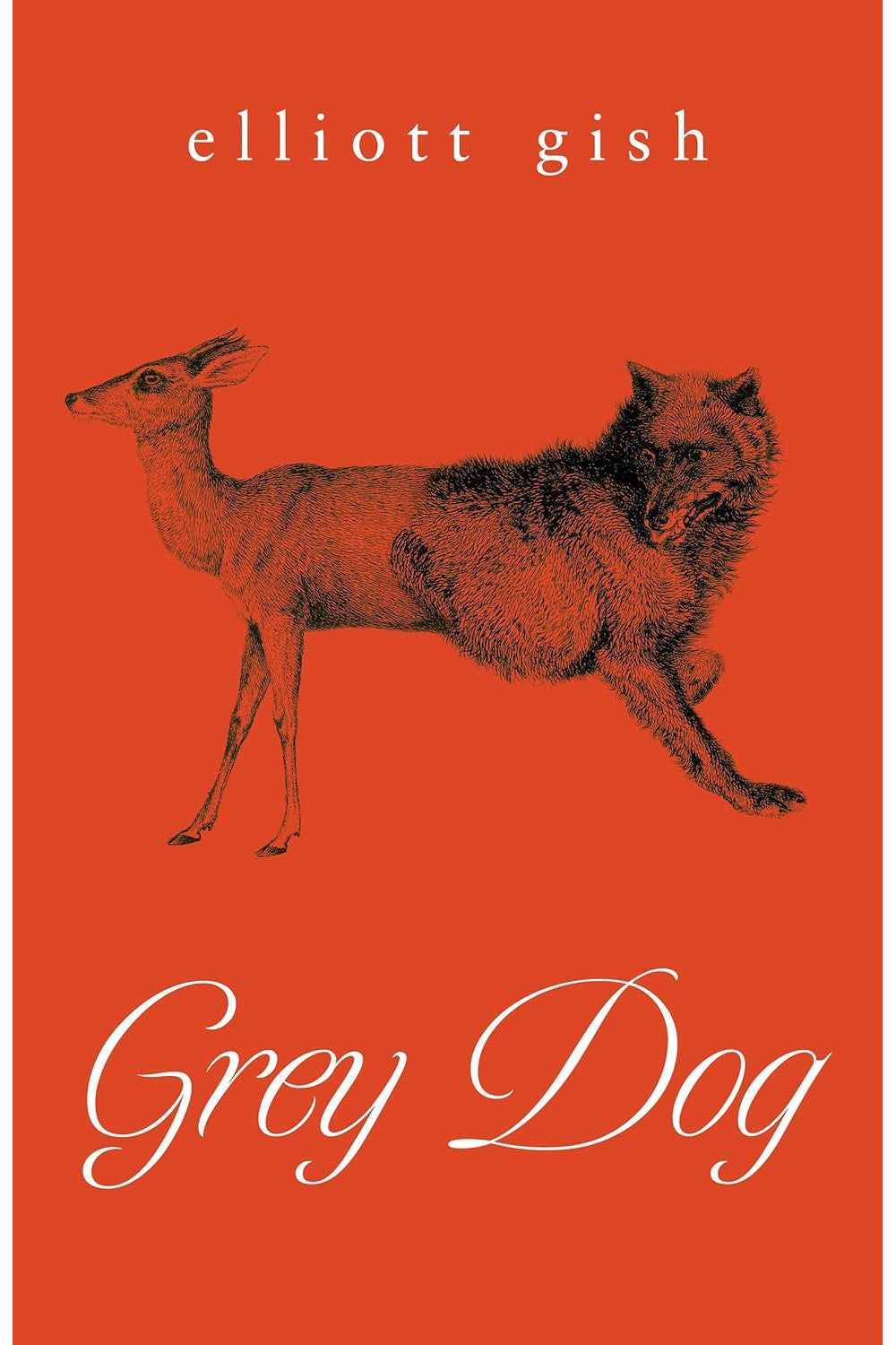 Grey Dog by Elliott Gish