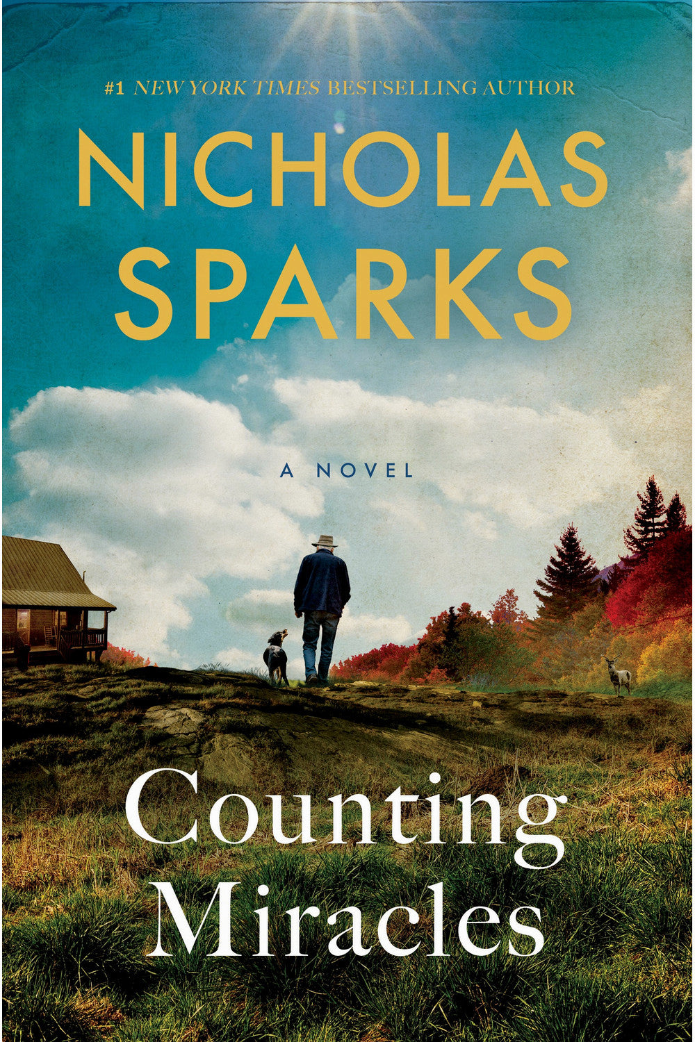 Counting Miracles by Nicholas Sparks