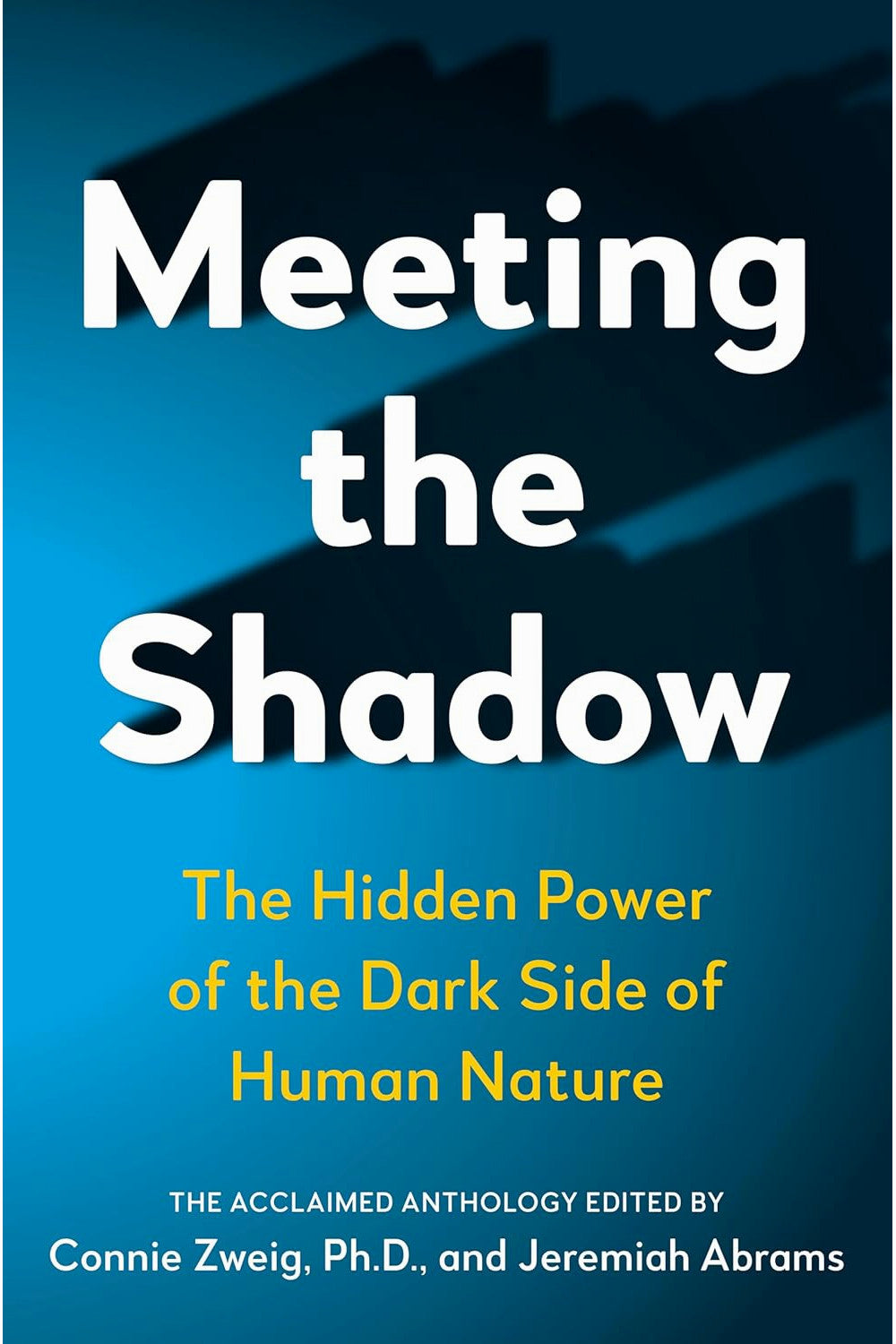 Meeting the Shadow by Connie Zweig and Jeremiah Abrams