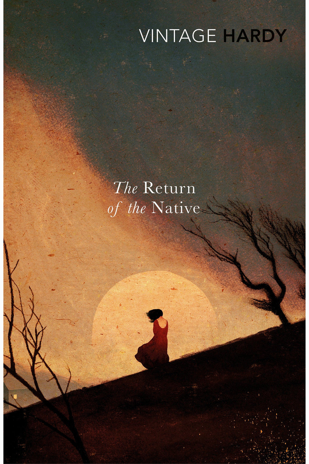 The Return of the Native by Thomas Hardy