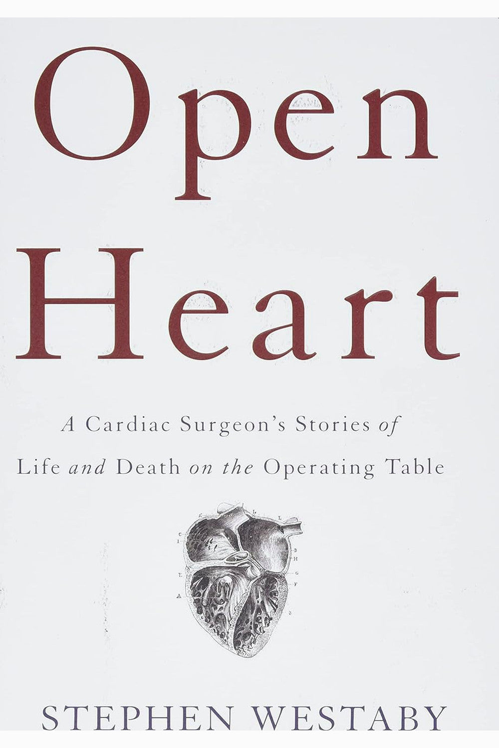Open Heart by Stephen Westaby