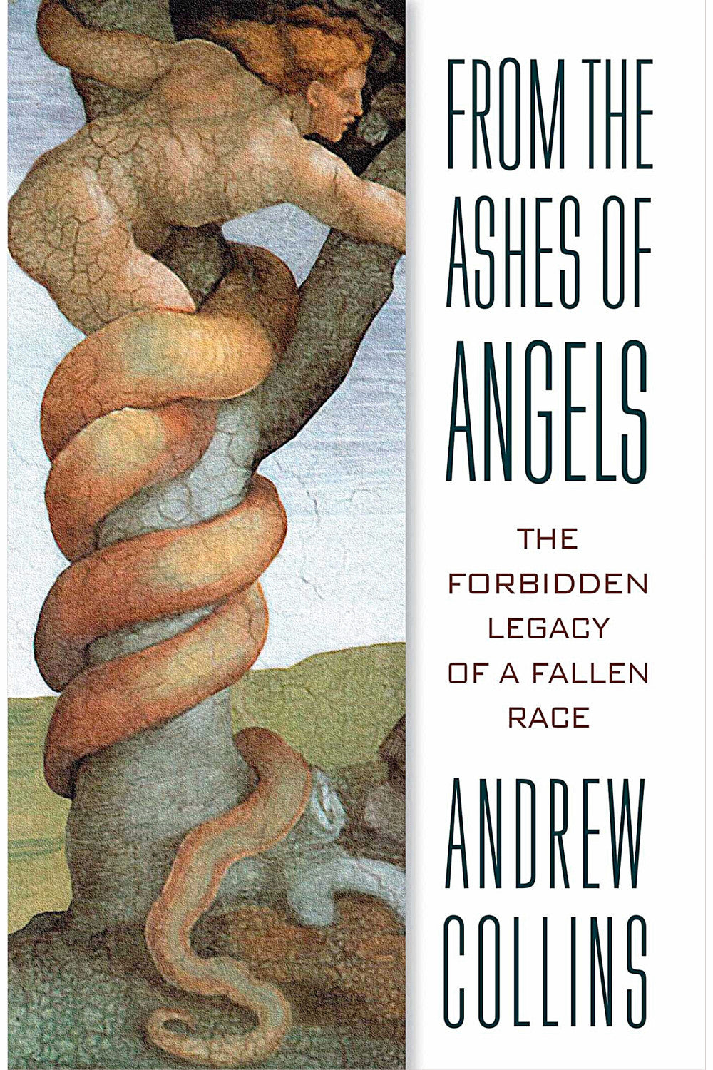 From the Ashes of Angels by Andrew Collins