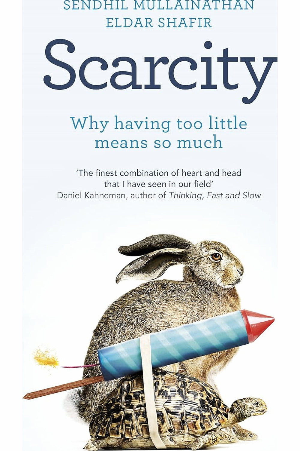 Scarcity: Why Having Too Little Means So Much by Eldar Shafir and Sendhil Mullainathan
