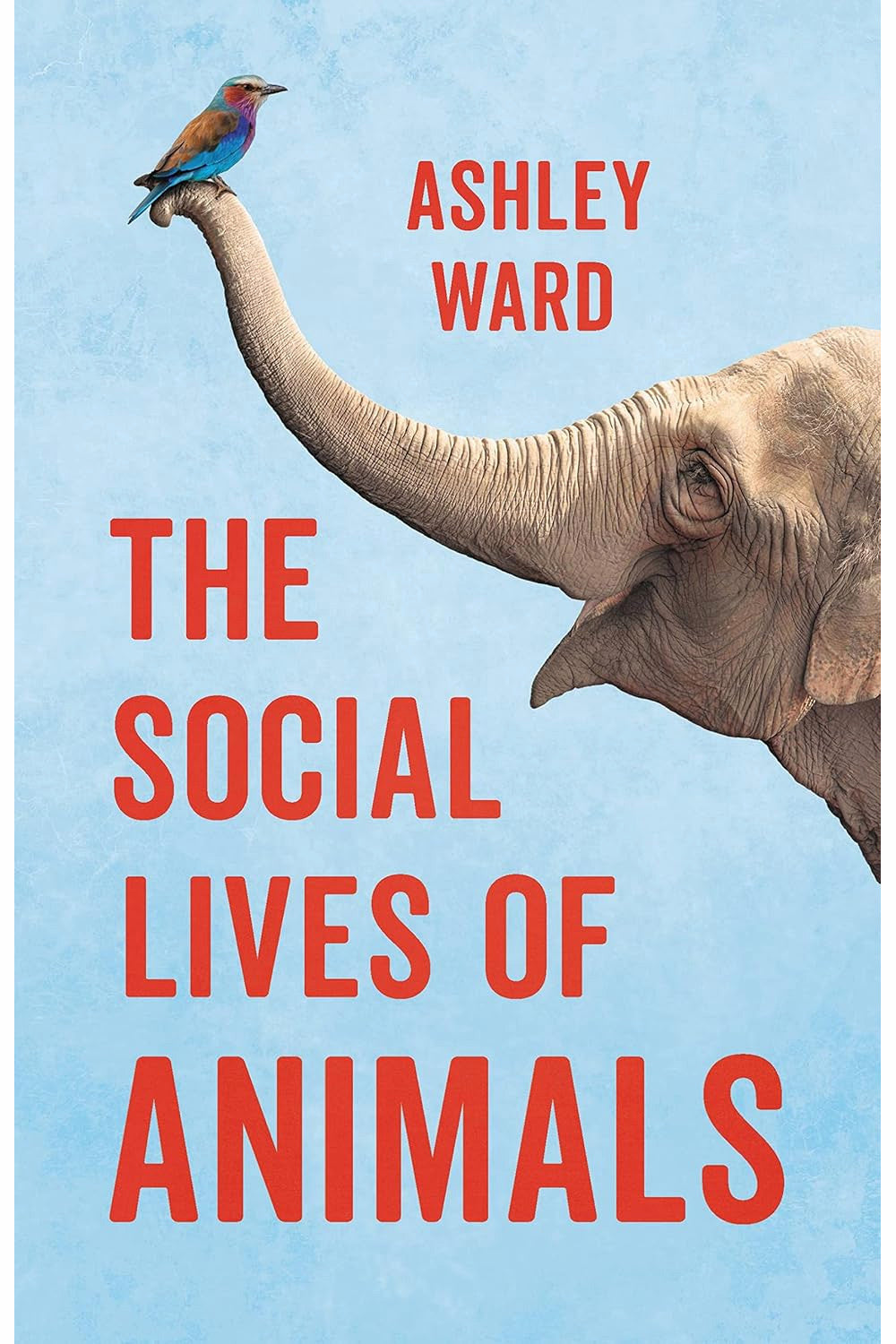 The Social Lives of Animals: How Co-operation Conquered the Natural World by Ashley Ward