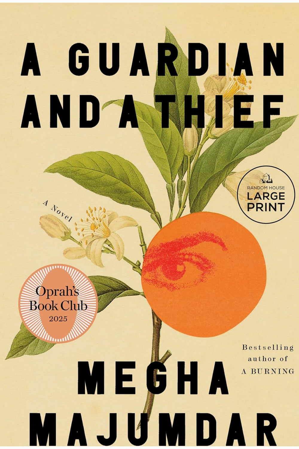 A Guardian and a Thief by Megha Majumdar