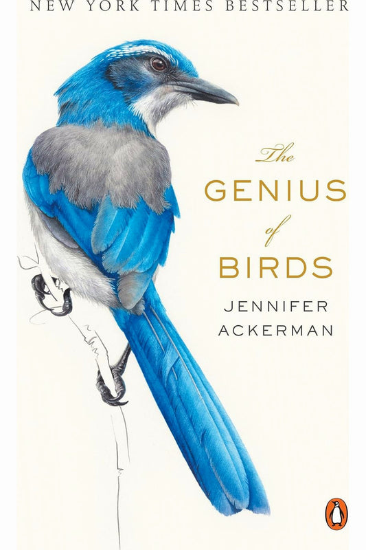 The Genius of Birds by Jennifer Ackerman