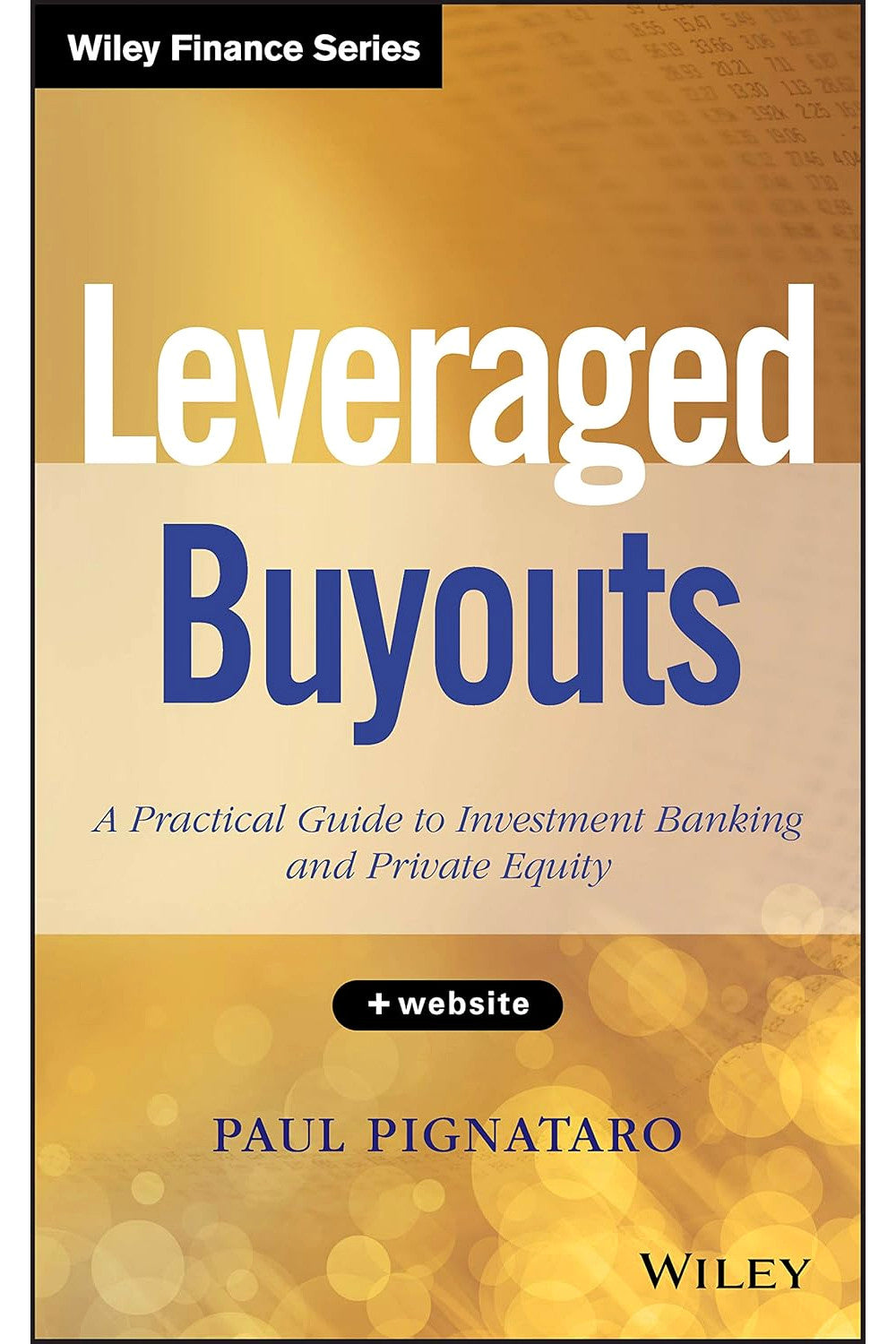 Leveraged Buyouts: A Practical Guide to Investment Banking and Private Equity by Paul Pignataro