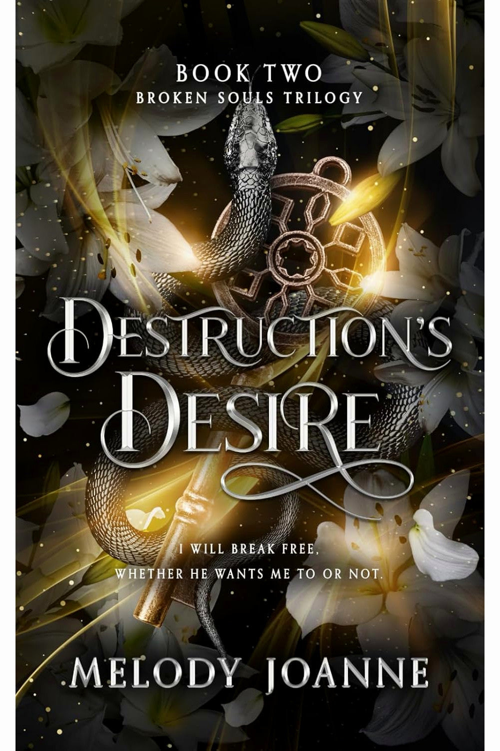 Destruction's Desire by Melody Joanne