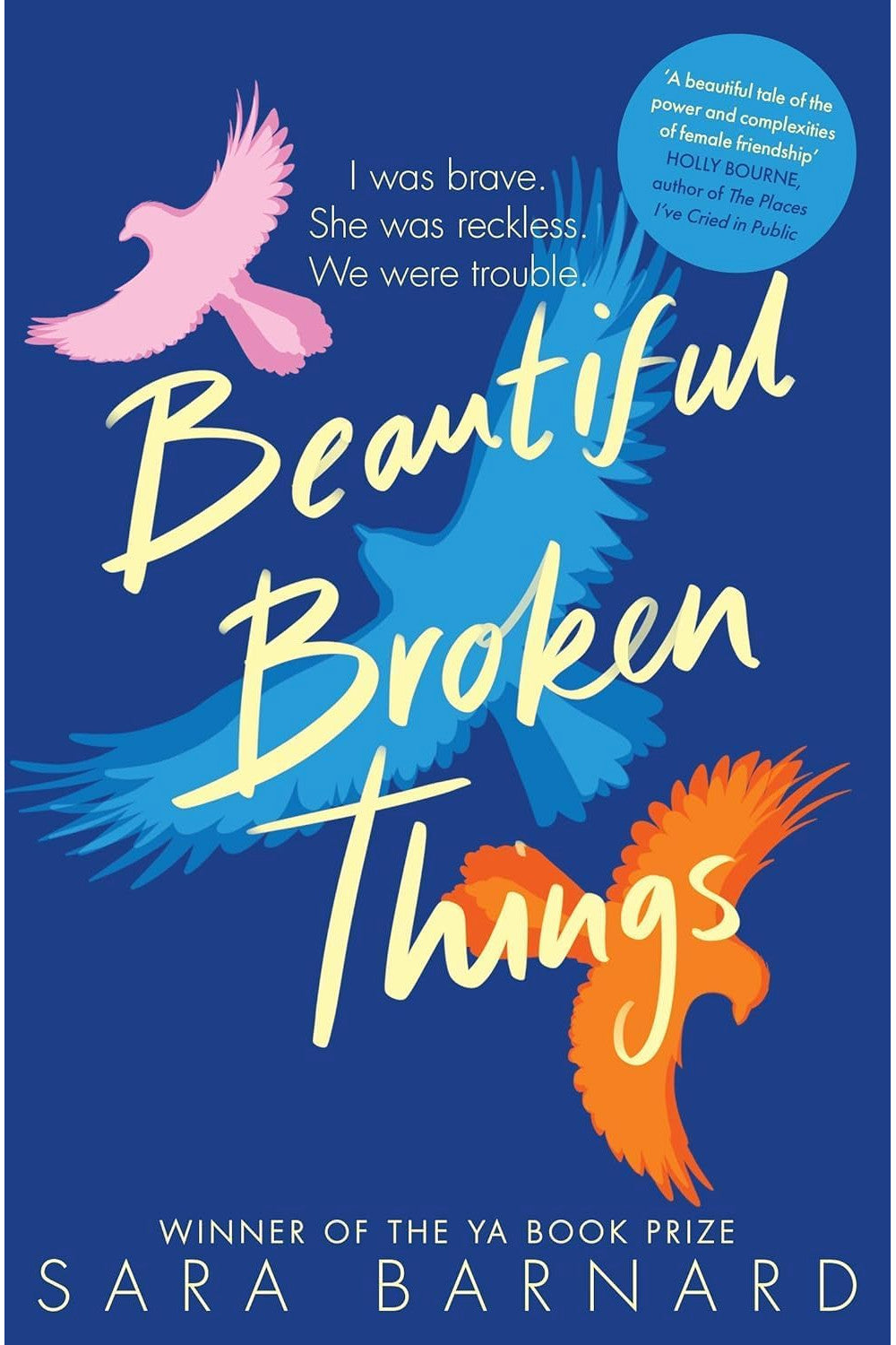 Beautiful Broken Things by Sara Barnard