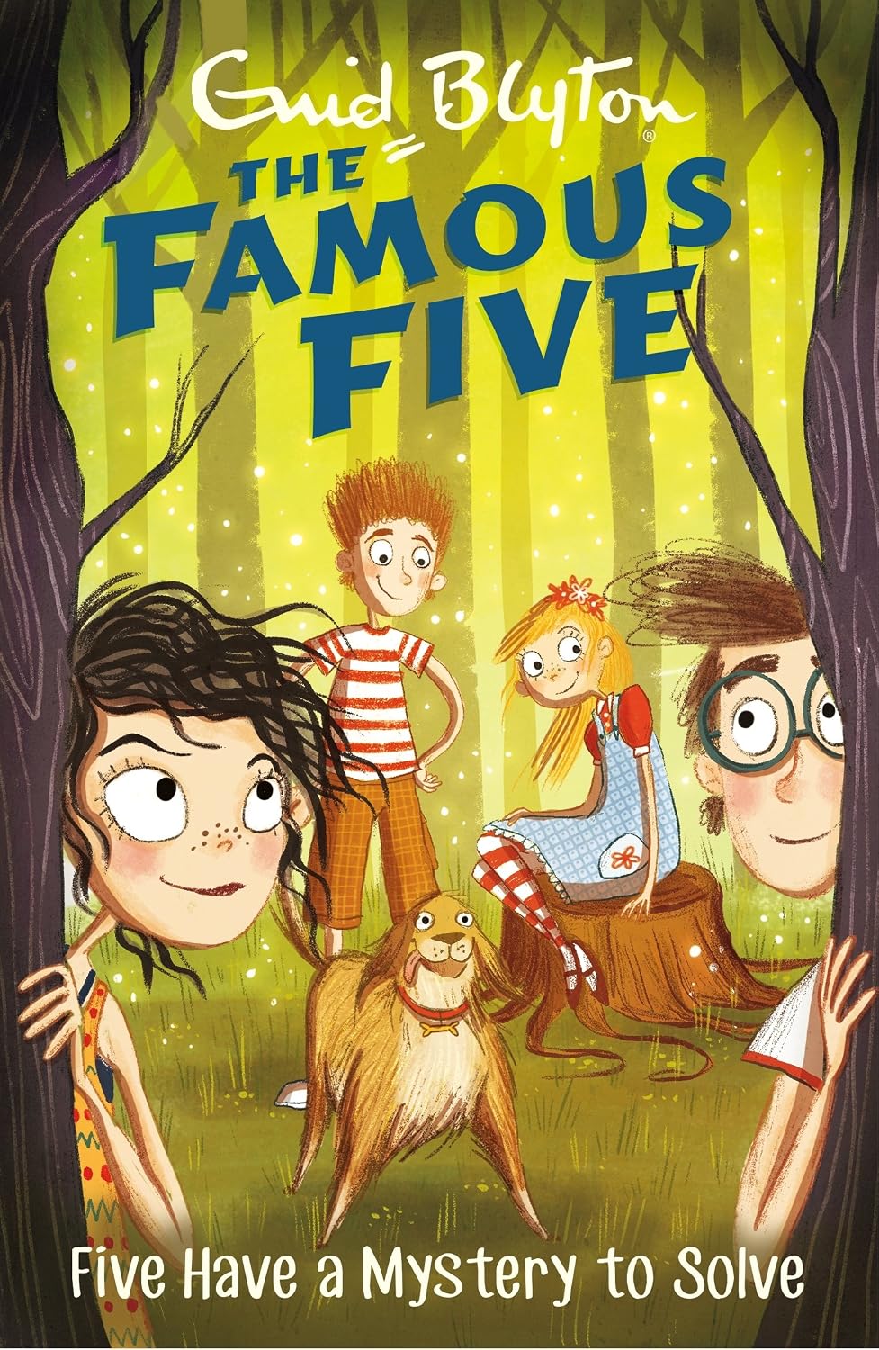 The Famous Five: Five Have a Mystery to Solve by Enid Blyton
