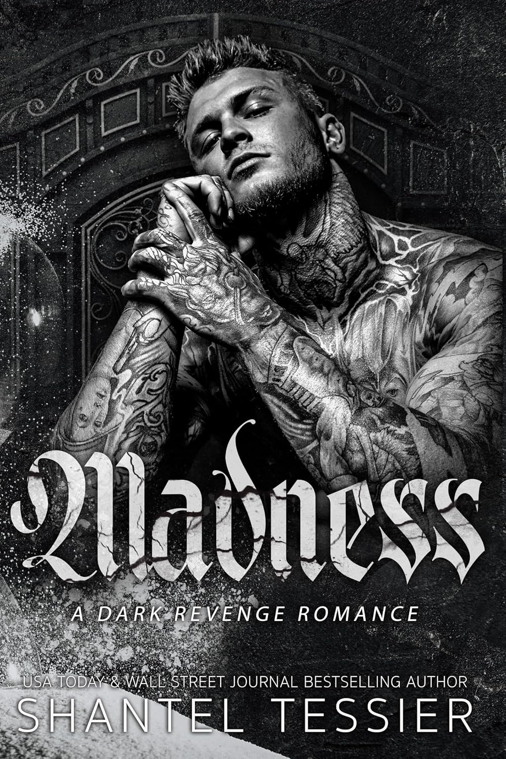 Madness: A Dark Revenge Romance by Shantel Tessier
