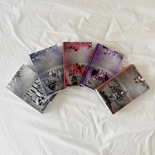 The Hollow Boys Series (5 Books) by Monty Jay